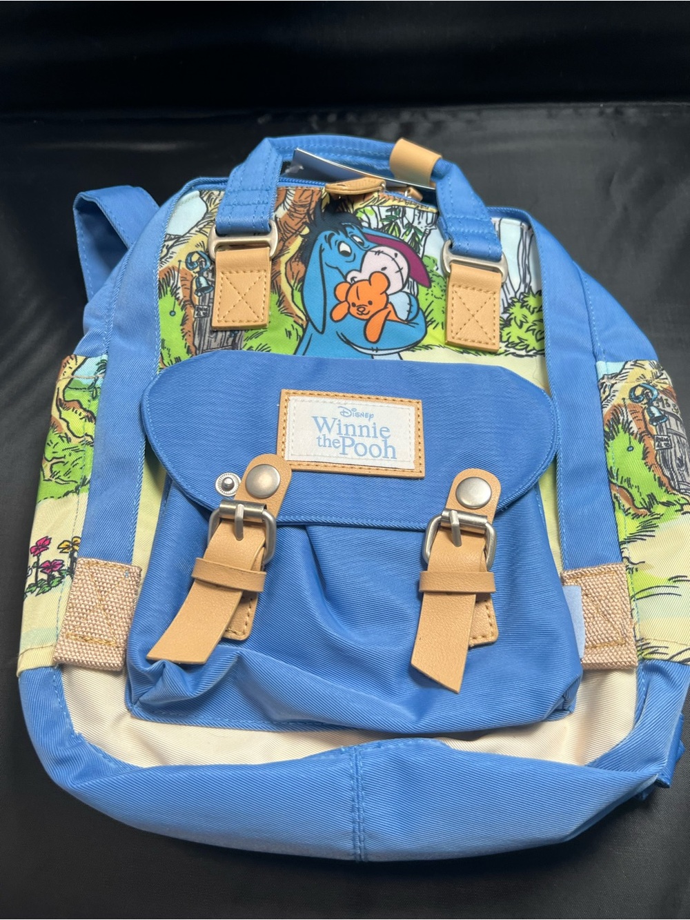 Disney Winnie the Pooh Eeyore Blue Canvas Mini Backpack Cute Character Bag